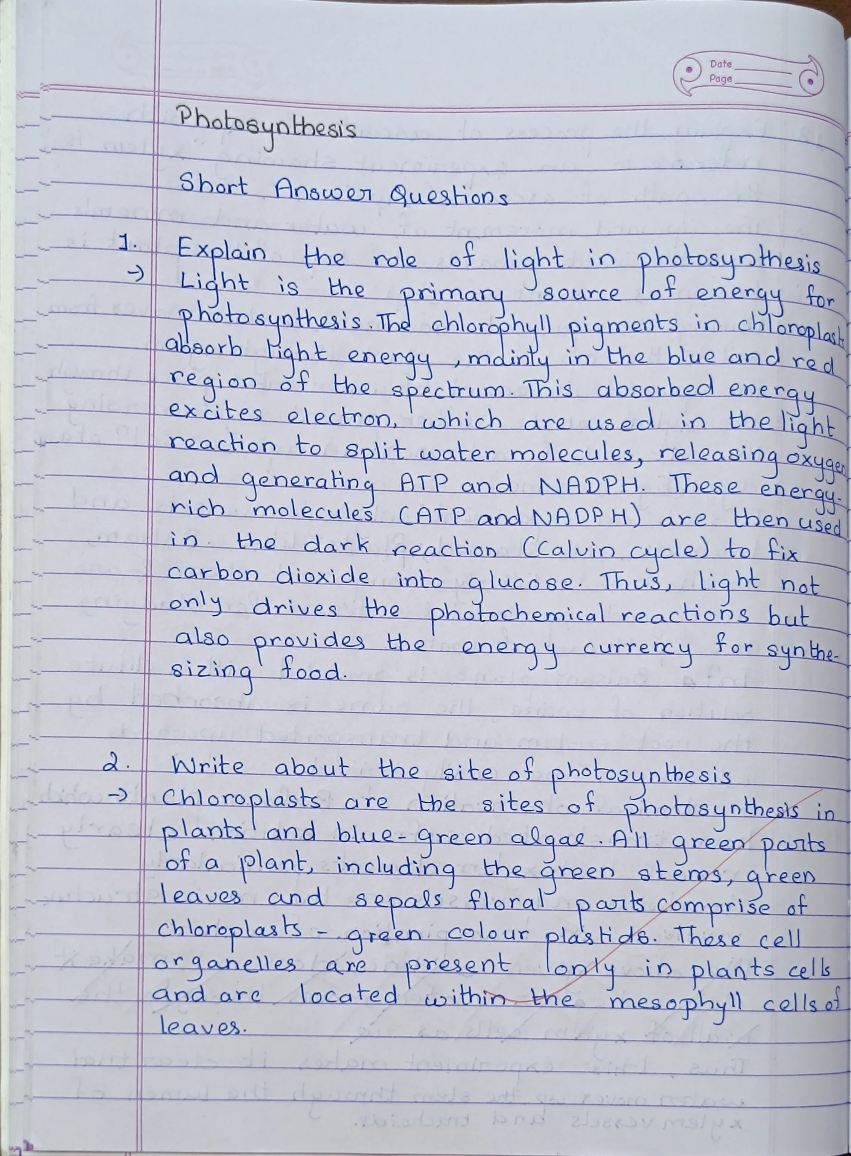 Photosynthesis - Page 1