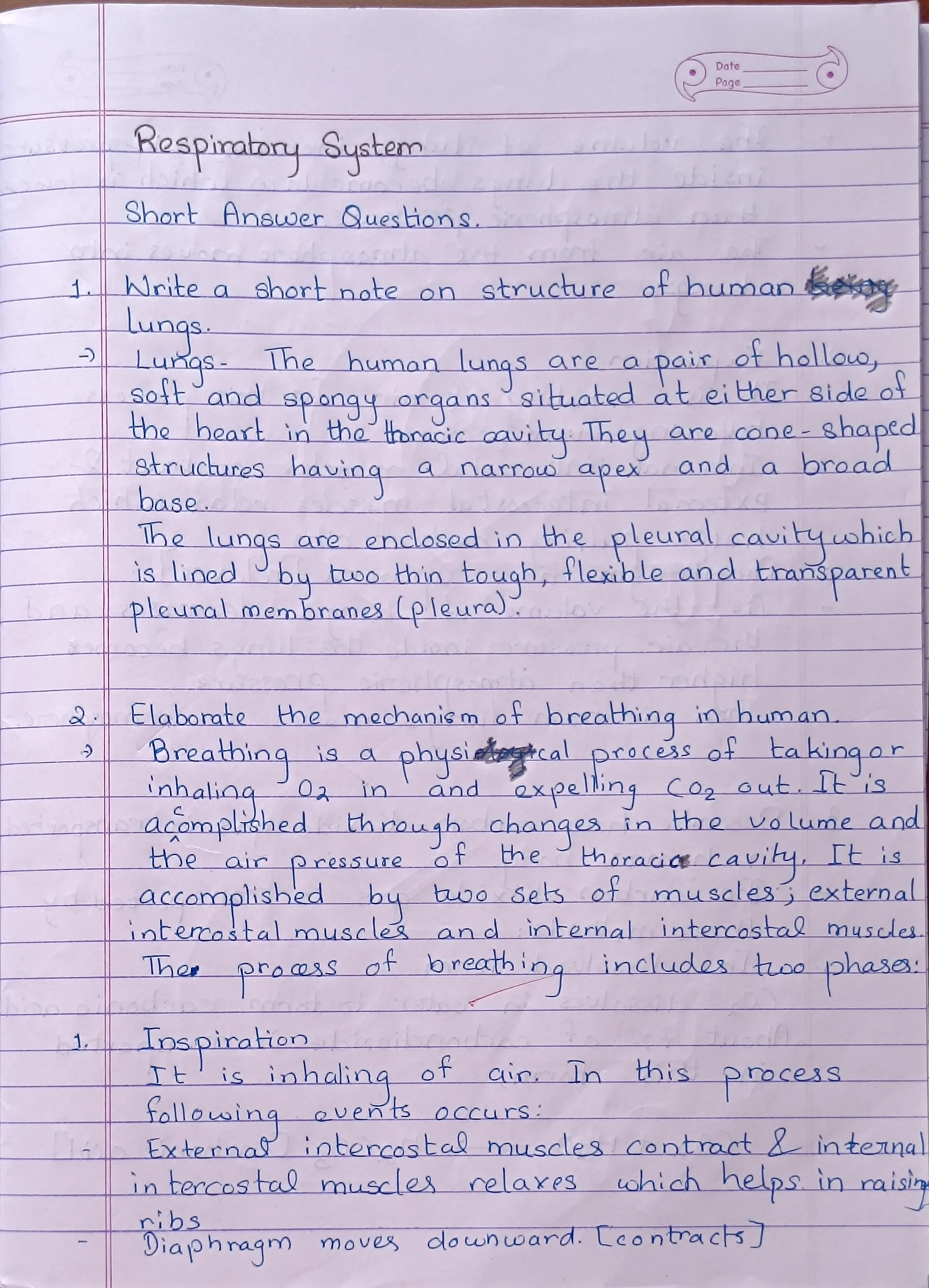 Respiratory System - Page 1